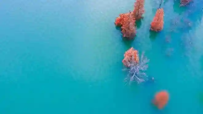 女人如果说“有空再聊”的时候，男人学会这些招数，效果意想不到