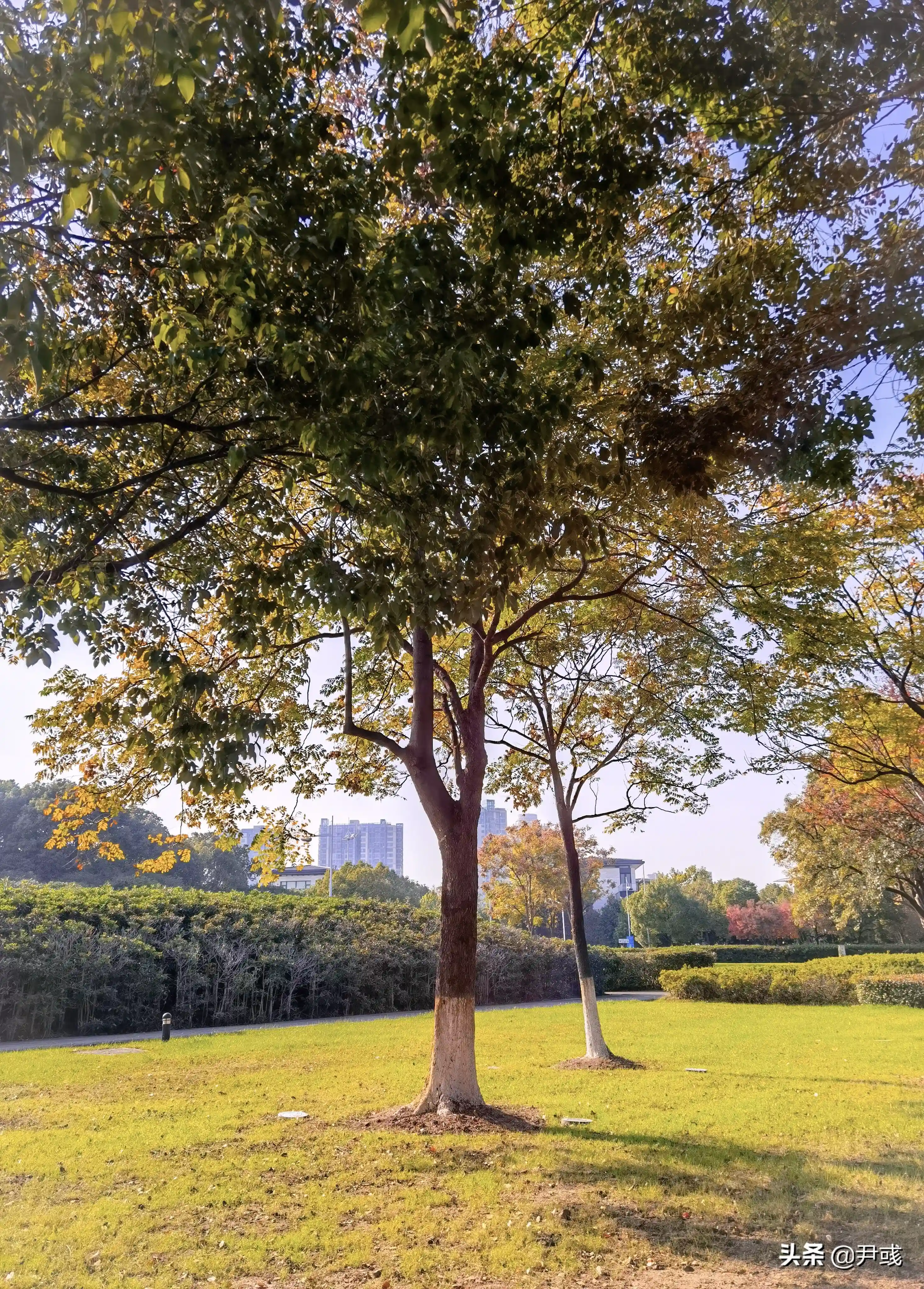 专业英语Day294丨如何找出企业发展的独有趋势