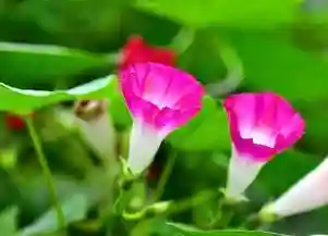 人生最大的投资，就是你的孩子，孩子是你的未来，要投资谁有收 获