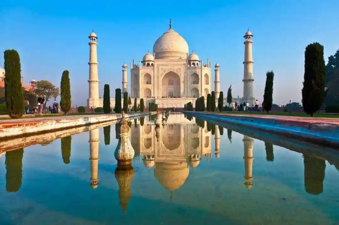 可乐杀虫剂，牛尿防新冠？这些印度冷知识你知道多少？