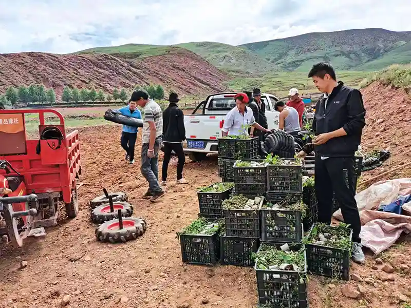 瞭望 | 疫情下的创业之路带来哪些启示？