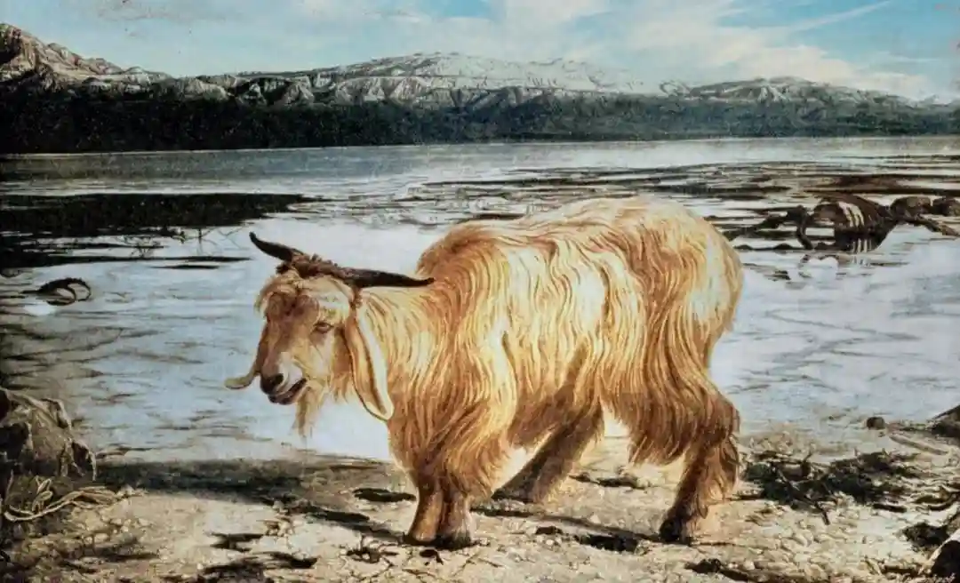 英汉语习语互译：“挡箭牌”英语怎么说？