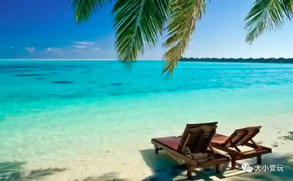 出国咯！护照到期了？手把手教你备材料走流程，再也不怕空跑了