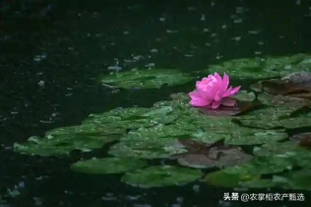 今日五月十五俗称：离日！老传统忌做5事，吉祥顺利过夏天