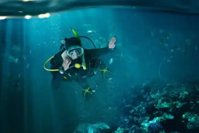 46个与潜水相关的英语词汇