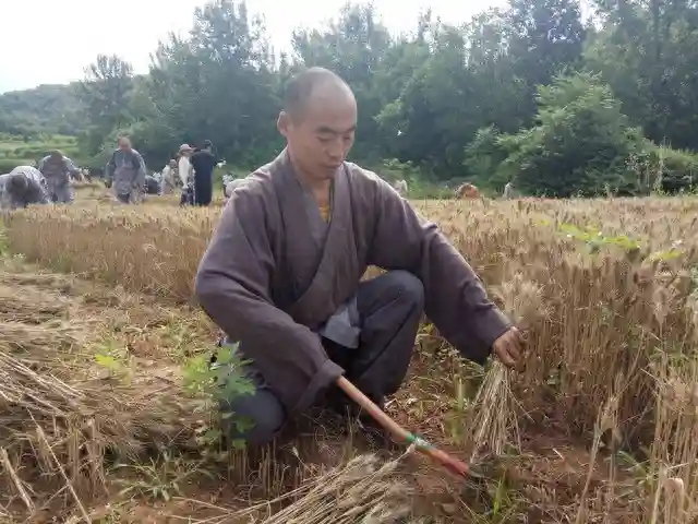 狂秀肌肉的意思很清楚：“别会错了意，我不是不能打！”