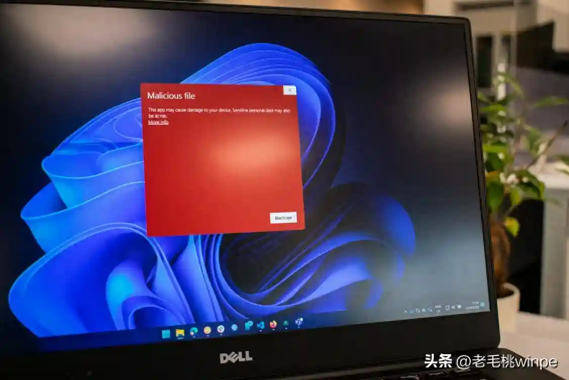 Window宣布：今年正式终止！网友炸了：别啊