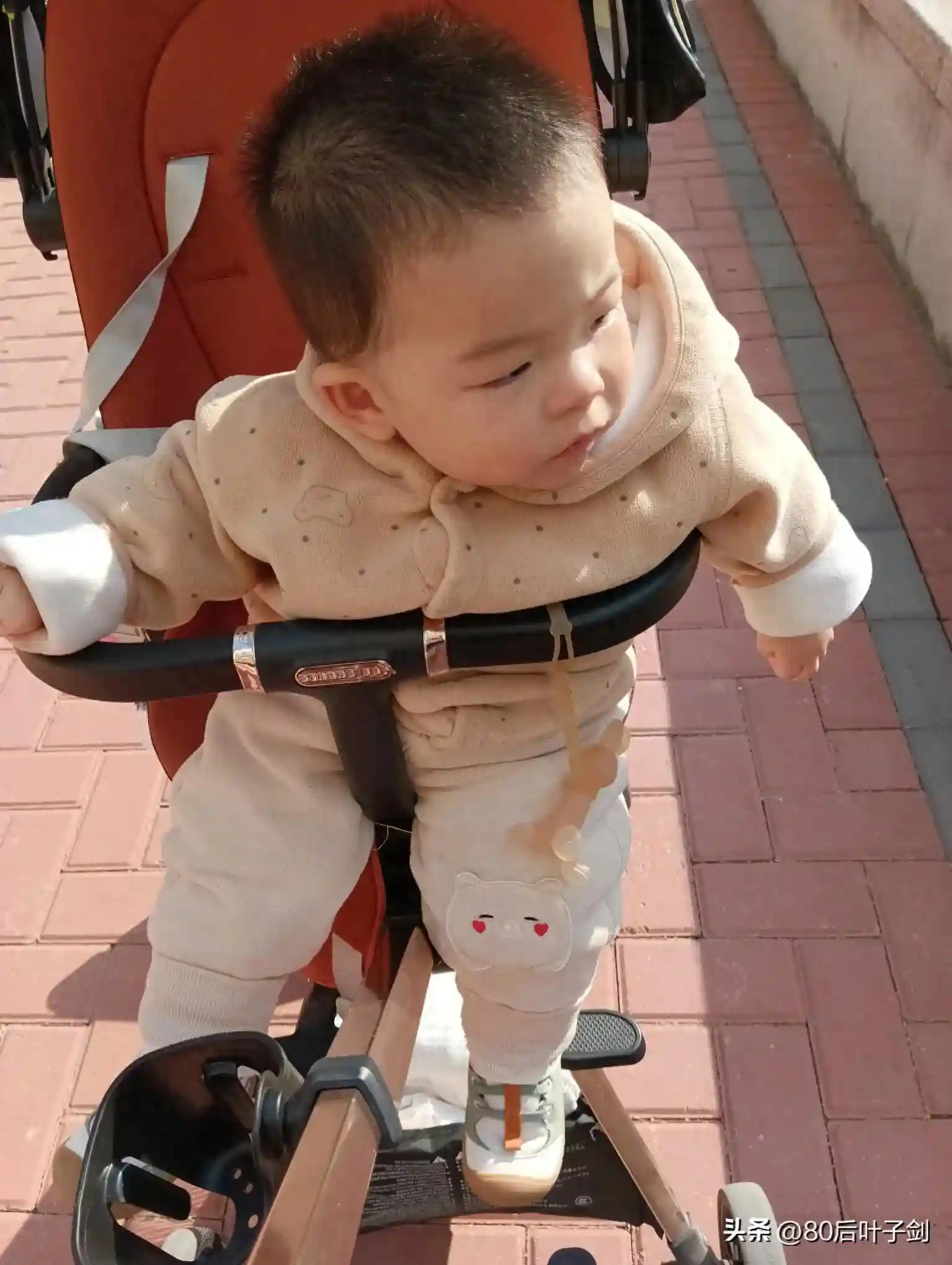 宝宝10个月零19天，新年新气象，宝宝是新年新胃口