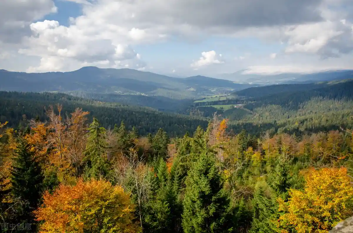 一轮复习 · 文言文阅读四种特殊句式