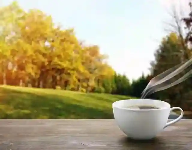 大胆一点，不要惧怕任何人和事