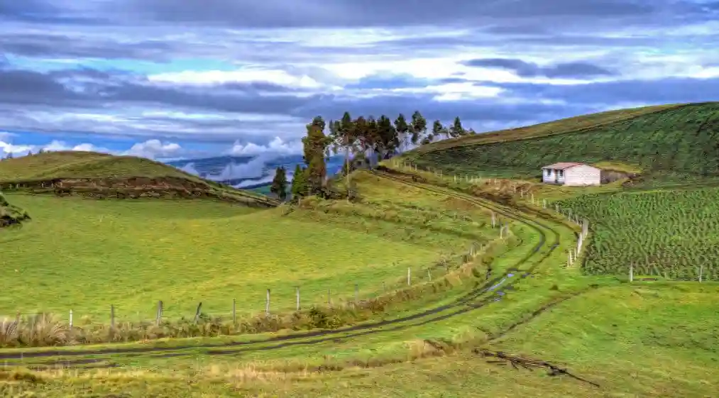 详解中学英语常用词汇（20）（下）