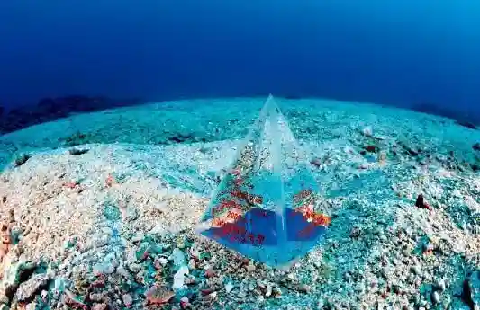 我国南海部分岛礁标准名称公布，连在一起就是一首《春江花月夜》