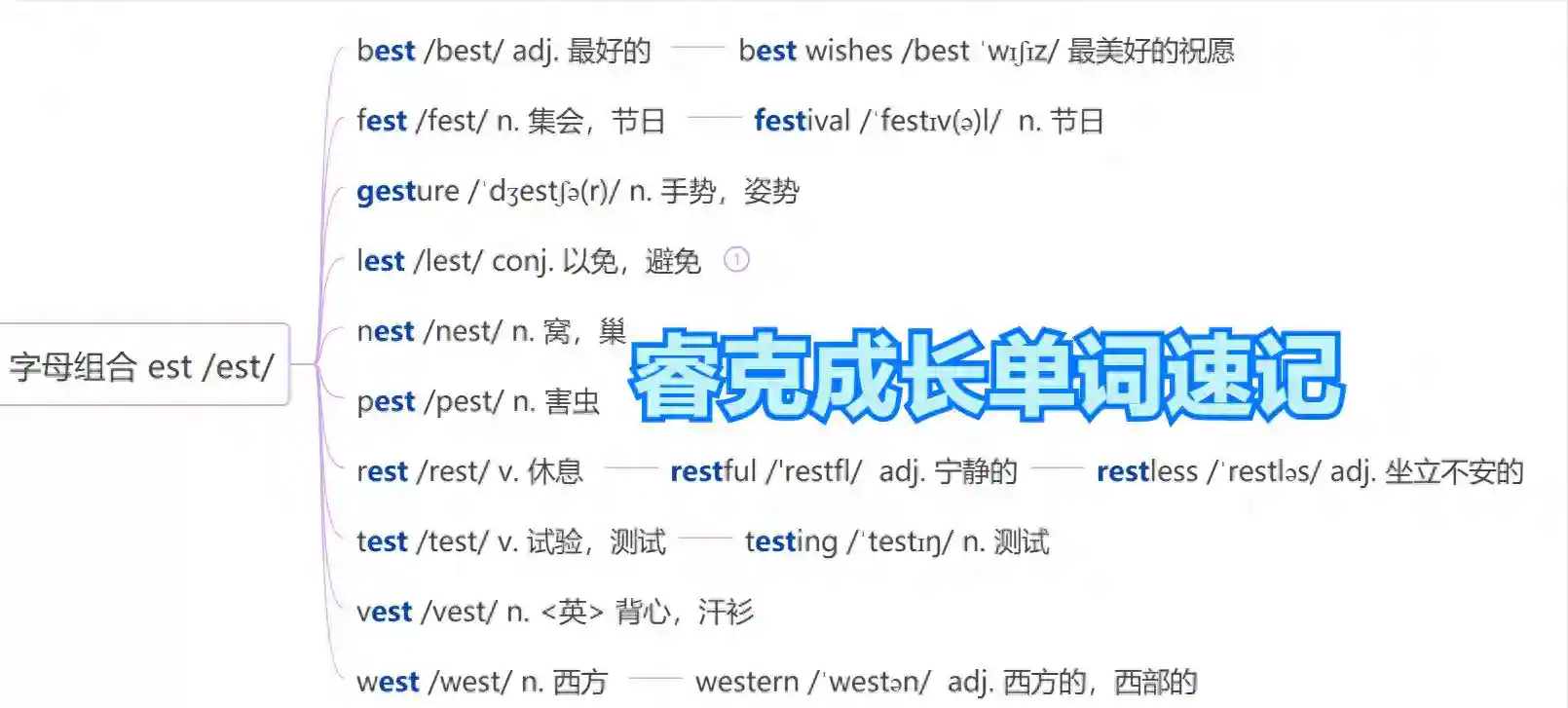英语单词速记学习今日分享