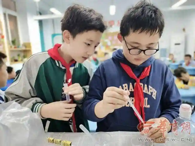 新城区：学校环境更美 设施设备更好 课程设置更多元