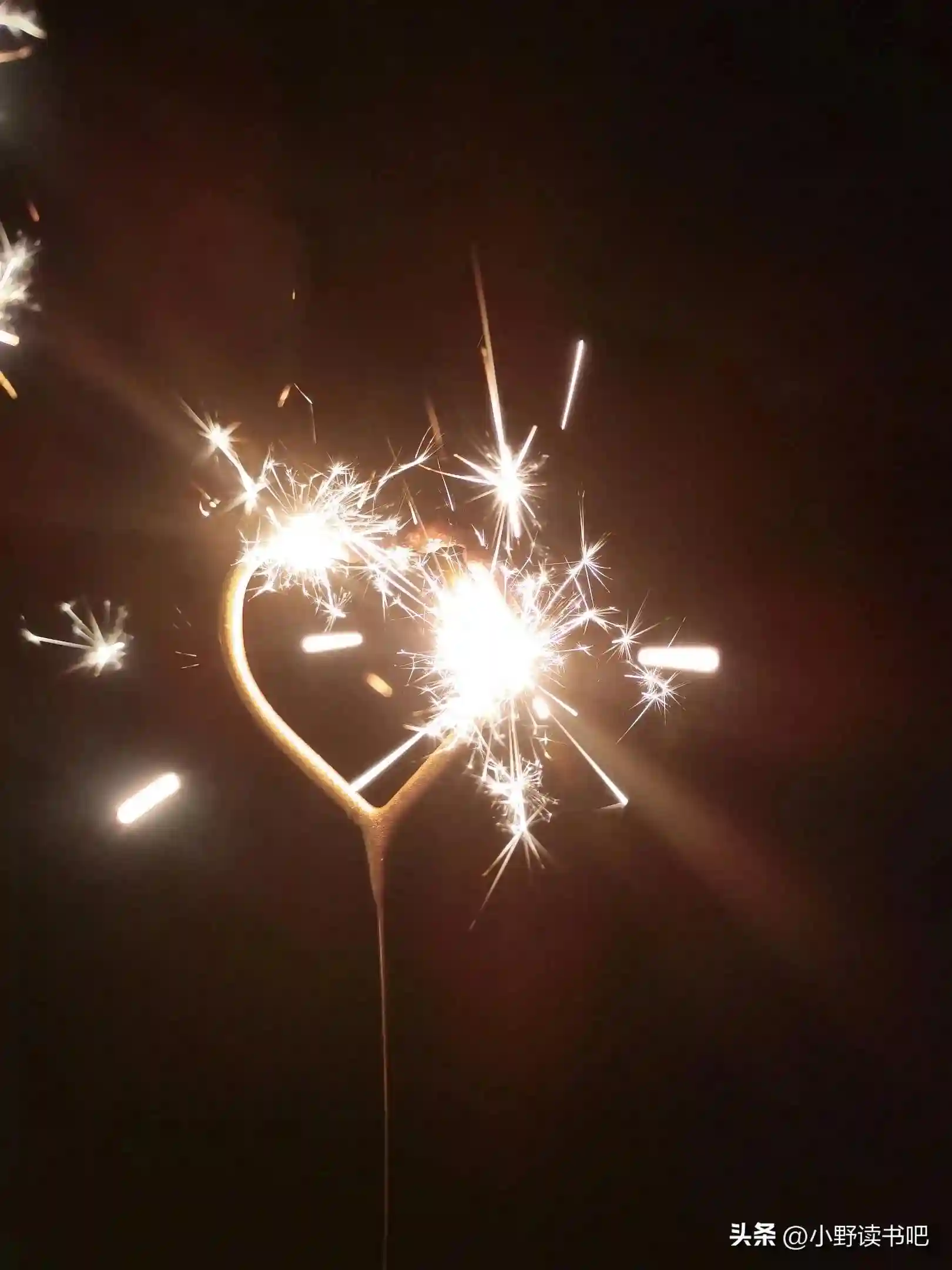 三年级科学常考知识点