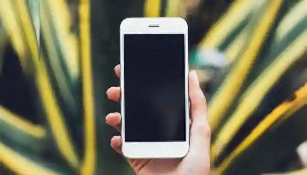 苹果手机ID如何查看？让我们一探究竟