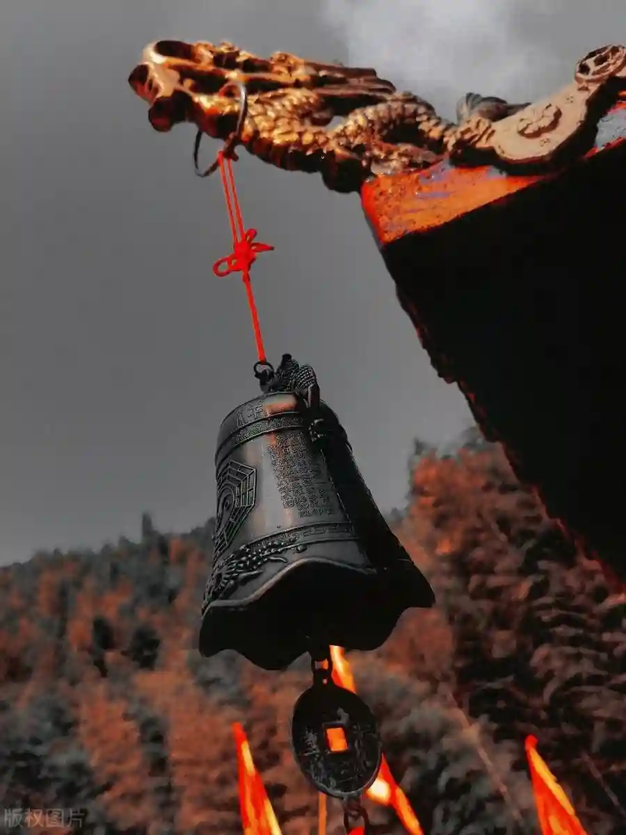 摒弃“完美”执念，拥抱成长蜕变