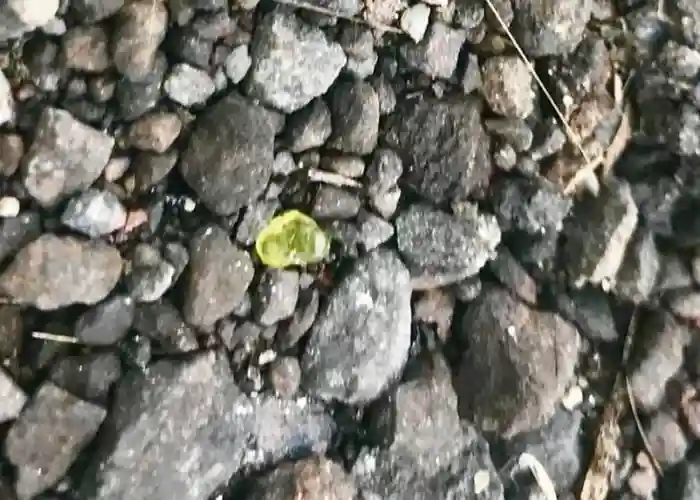 美国夏威夷的基拉韦厄火山喷发 周围下“宝石雨”