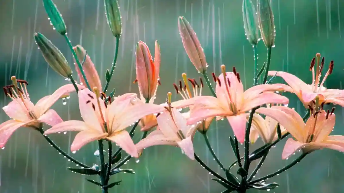 除了地球下雨外，其它星球也会下“雨”吗？