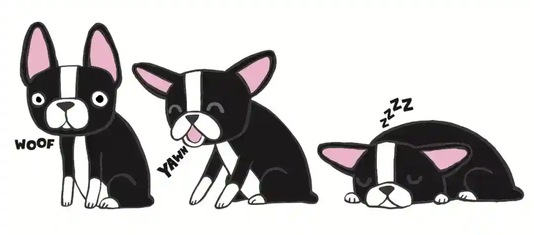 为什么漫画中要用“Zzz”表示睡眠呢？