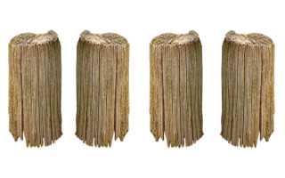 礼仪浸润心灵 文明照亮校园