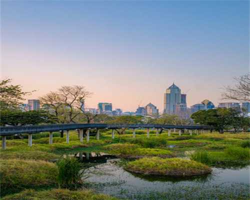 学英语的好时机！不列颠英语限时免费啦~