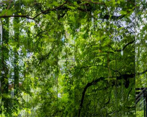 年薪9~23万！云投集团子公司招聘公告