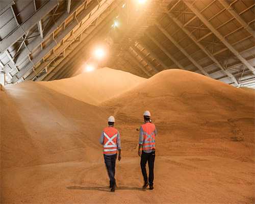 2019年上海外国语大学本科招生章程