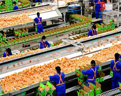 1招趣味单词记忆法，“秒记单词”不是问题！