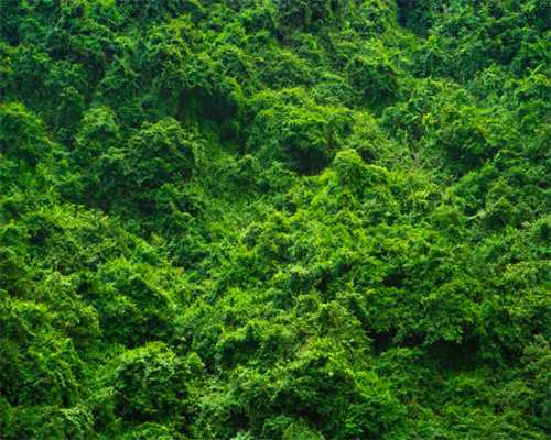 好消息！抚州纳入全省发展核心，未来抚州……