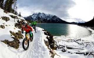 2024年在职研究生报考流程详解