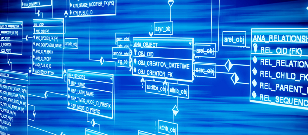 ROHS是什么认证？