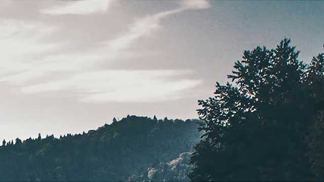 想考双非只因分数低？这几所MPAcc双非院校220以上才能考